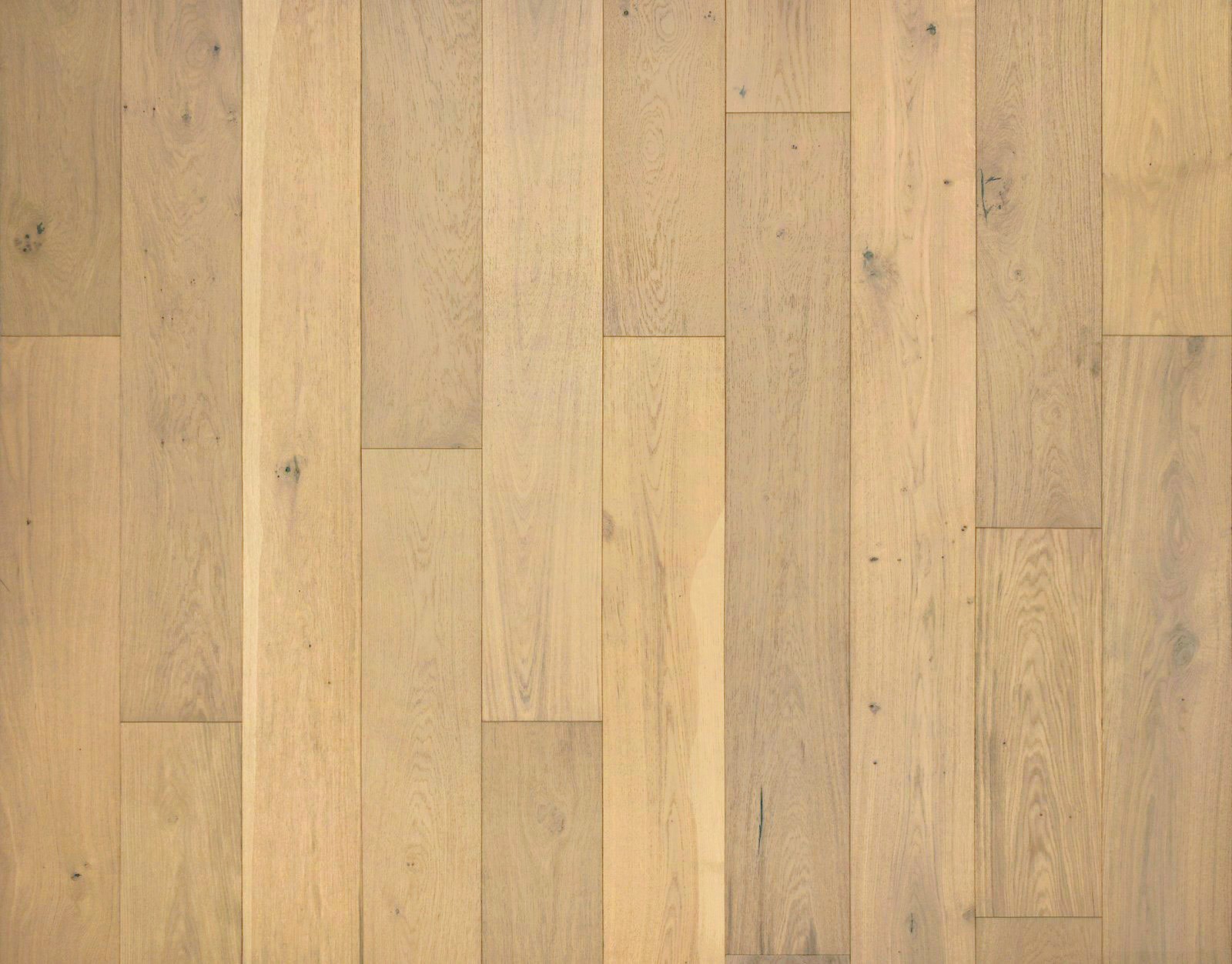 European Oak Hardwood Floors Shell Beach
