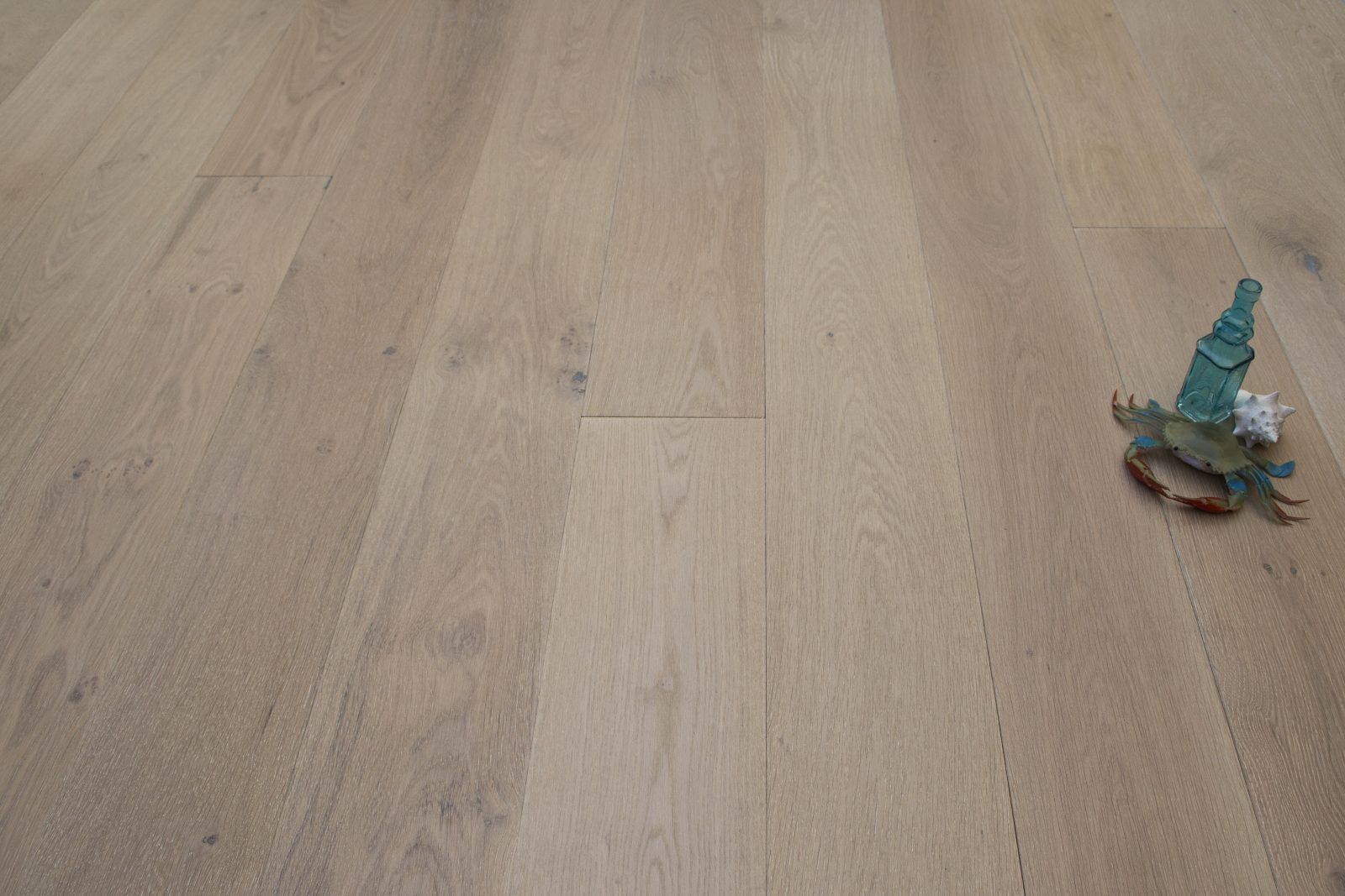 Shell Beach - Newport