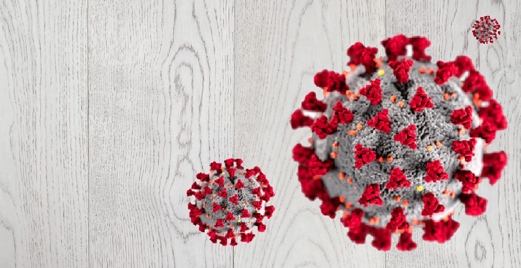 COVID19 and Flooring How to Clean, Disinfect, and Protect your Home