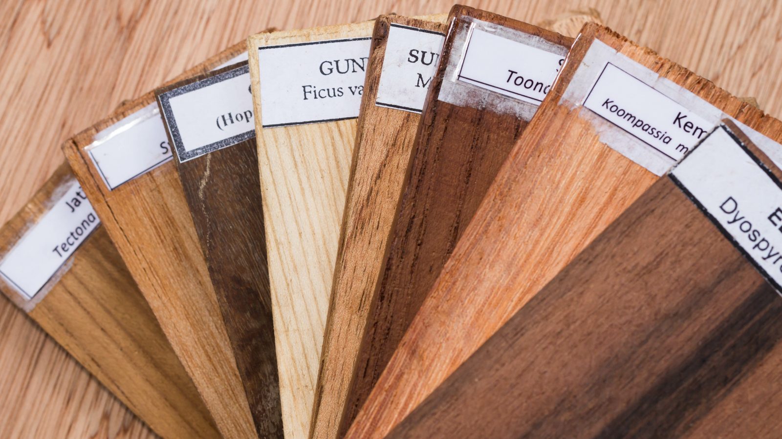 A Guide To Different Hardwood Species Garrison Collection
