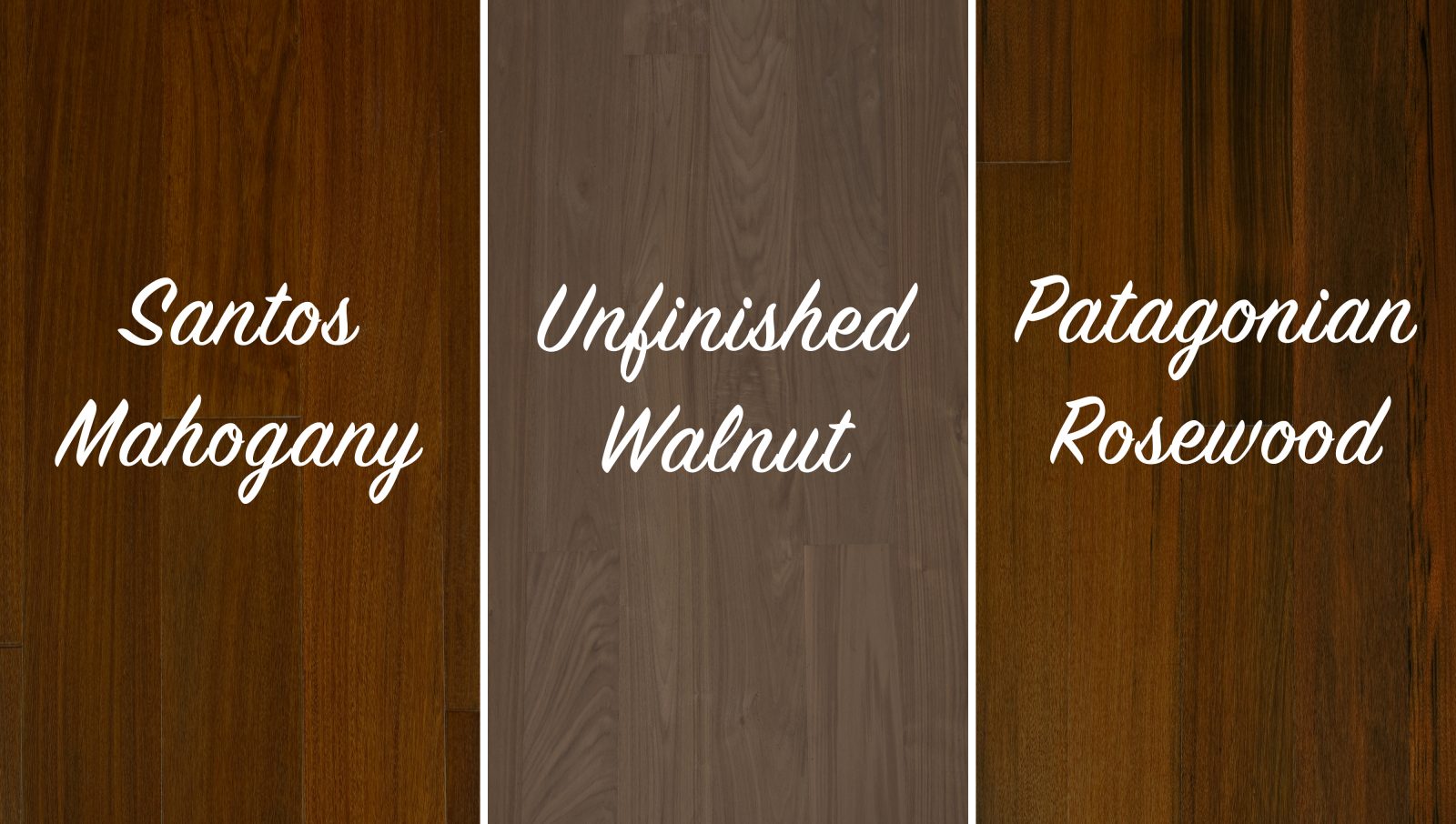 An Introduction to Dark Wood Garrison Collection