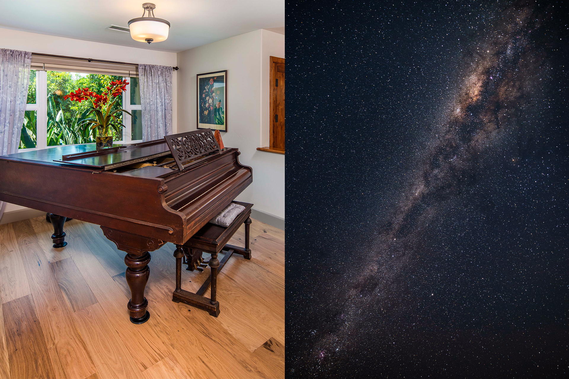 WSPC Zodiac Garrison Collection