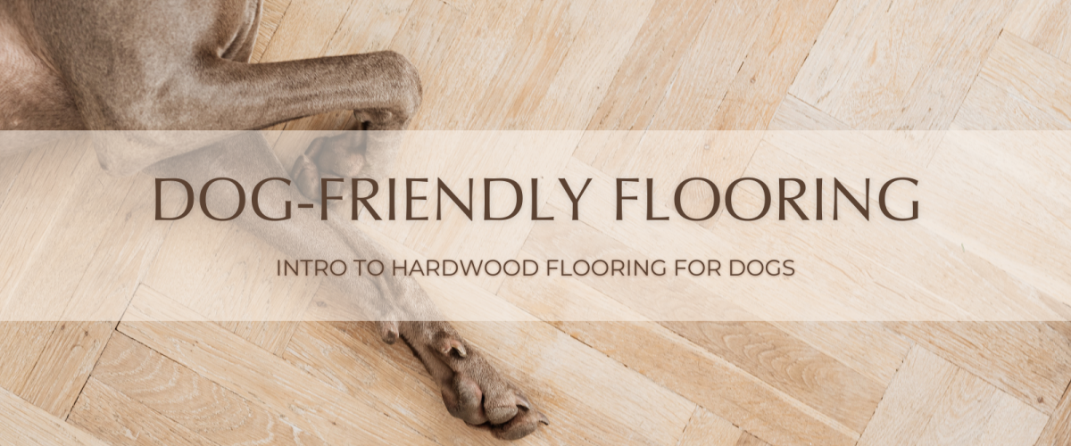 Hardwood Flooring for Dogs An Intro to PetFriendly Flooring