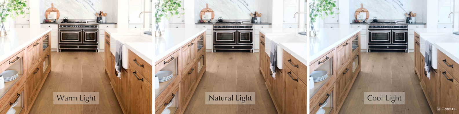 Blog Graphic for Garrison Collection How Lighting Affects Hardwood Flooring’s Color
