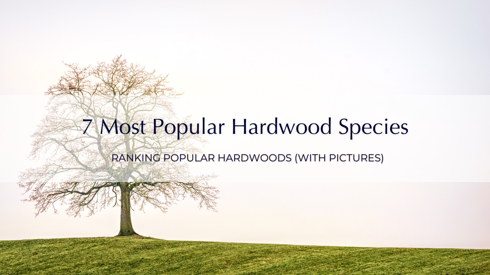 Banner for 7 Most Popular Hardwood Species With Pictures - Garrison Collection