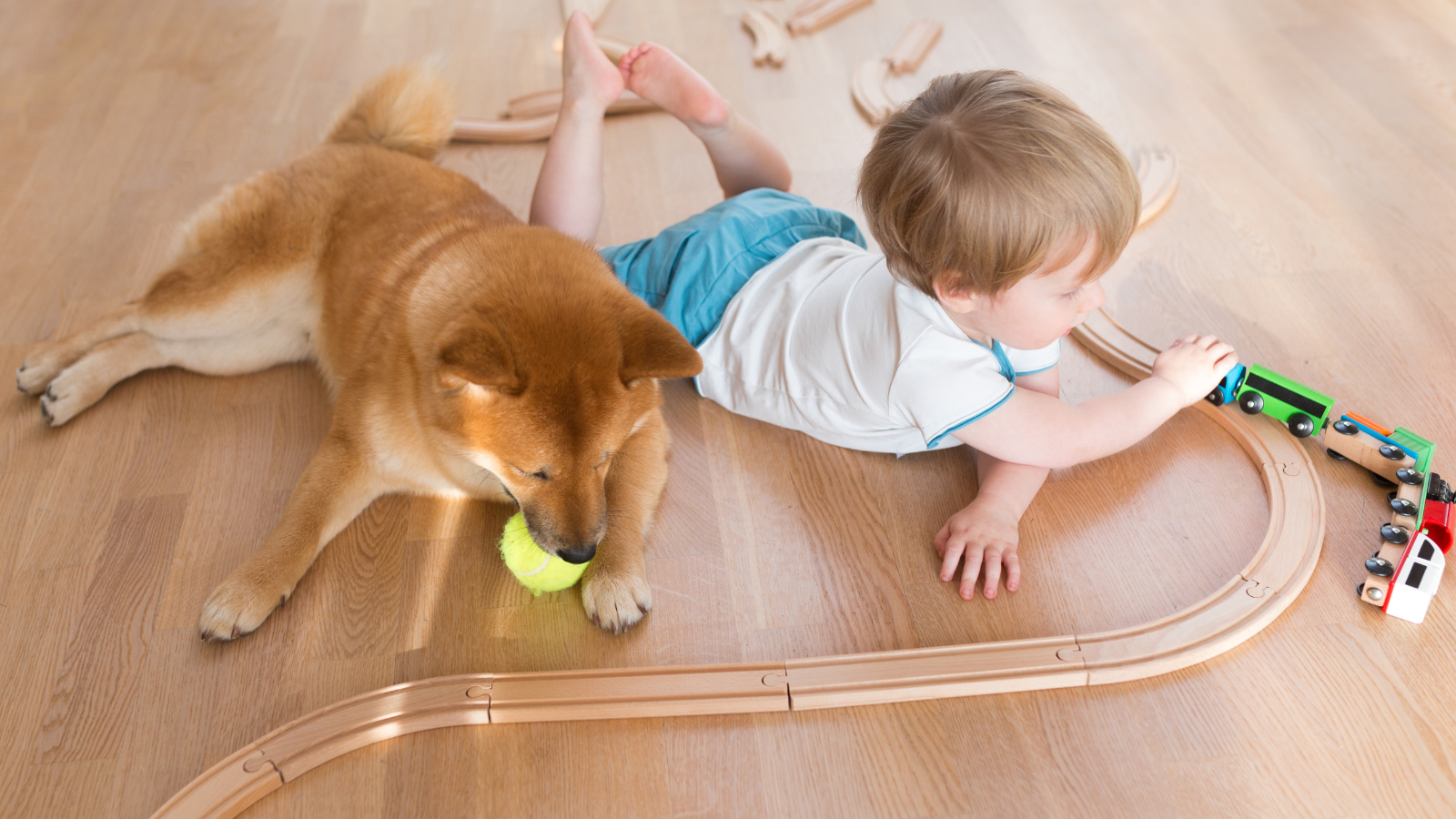 Should You Install Hardwood Flooring - Blog Banner - Garrison Collection