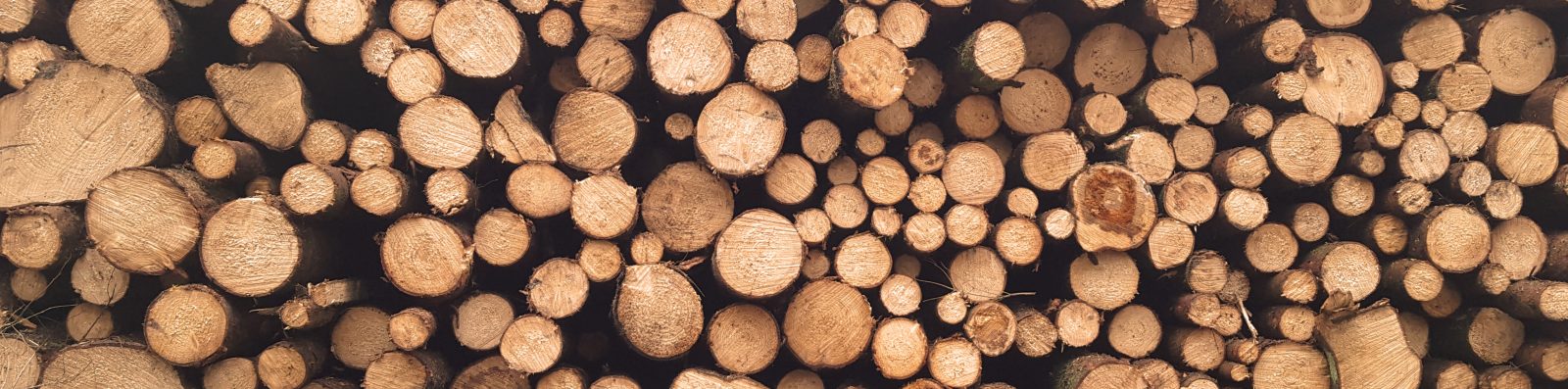 Engineered Hardwood flooring by the Garrison Collection in Los Angeles