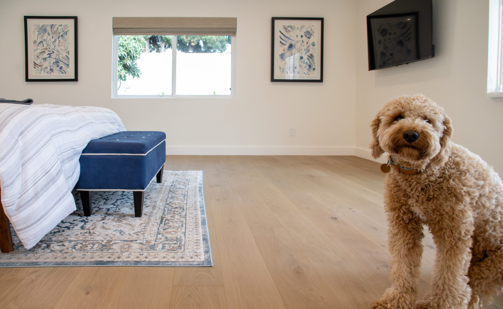 Dog sitting on an engineered hardwood floor in a bedroom. best flooring for kids and pets